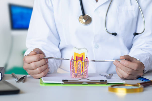 Best Weekend Emergency Dentist in Murphy, MO